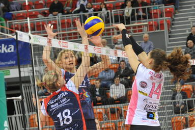 BKS ALUPROF PROFI CREDIT Bielsko-Biała - Budowlani Łódź