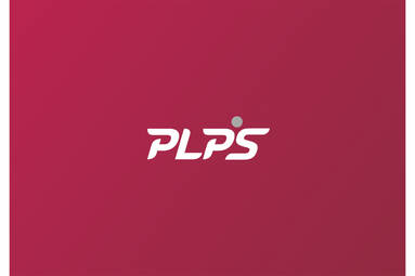 Prezesi klubów ORLEN Ligi opracowali wspólną politykę transferową