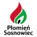 Trans-Ann Płomień Sosnowiec