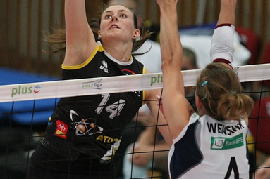 Przed meczem Bank BPS Muszynianka Fakro - Atom Trefl
