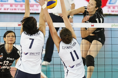 Impel Gwardia - Pałac 1:3