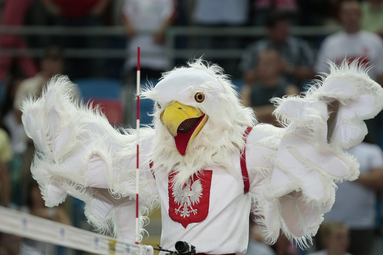 Posiedzenie zespołu roboczego d/s wyłonienia kandydatów na trenera reprezentacji kobiet