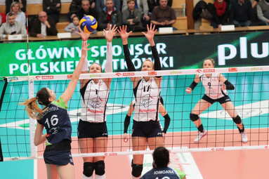 PGE Atom Trefl wygrał w Muszynie