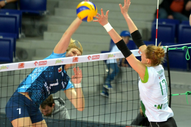 Impel - Chemik 1:3