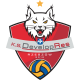 KS DevelopRes Rzeszów