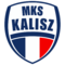 NETLAND MKS Kalisz