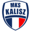 NETLAND MKS Kalisz
