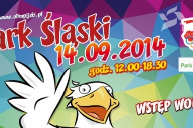 Siatkarki z Dąbrowy Górniczej na Pikniku Olimpijskim